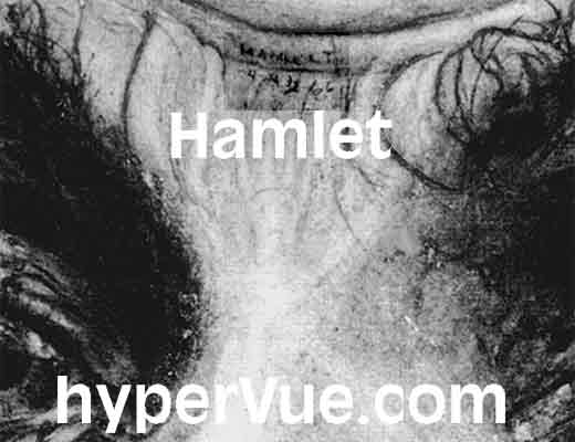 Gravity - Hamlet on William Shakespeare