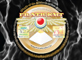prntrkmt ancient Egyptian religion